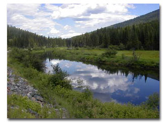 The Yaak Rive