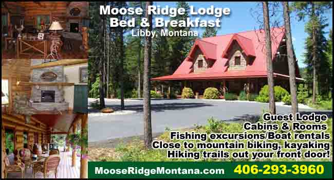 Moose Ridge Lodge Bed & Breakfast
