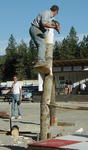 Professional Logging demonstrations