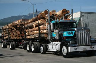 Logger Days Parade