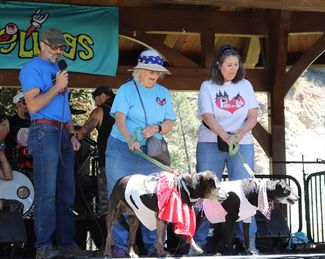 Kootenai Pets for Life Dog Adoption