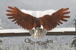 Libby's snow-covered eagle