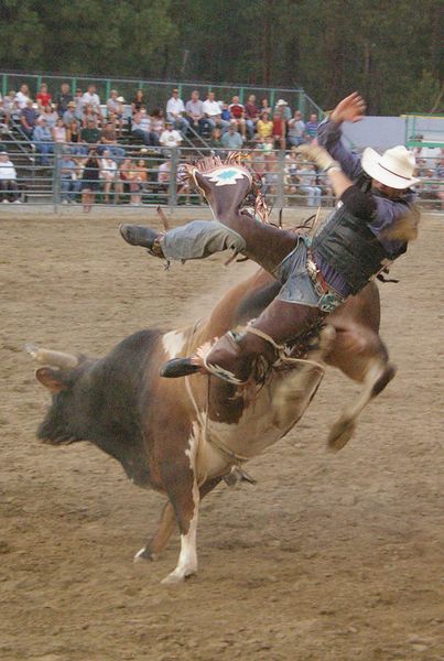 Bull Riding. Photo by Kootenai Valley Record.
