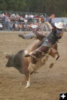 Bull Riding. Photo by Kootenai Valley Record.