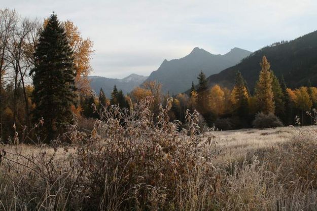 Frosty Morning on the Bull River. Photo by Maggie Craig, LibbyMT.com.