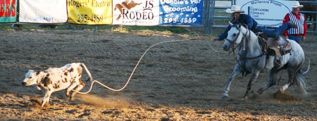 Tie-down Roping. Photo by LibbyMT.com.
