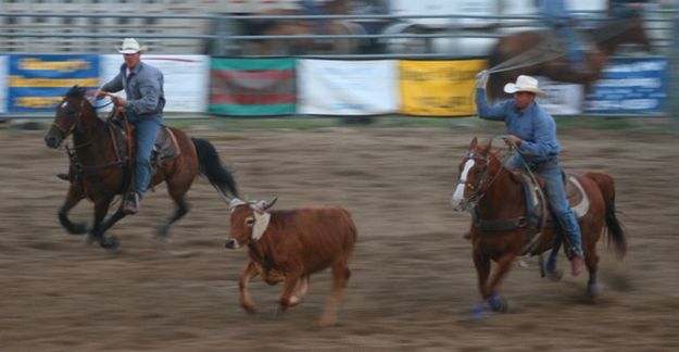 Team Roping. Photo by LibbyMT.com.