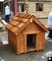 Dog houses. Photo by LibbyMT.com.