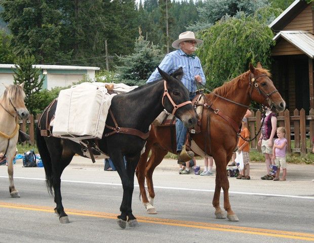 Backcountry Horsemen. Photo by LibbyMT.com.