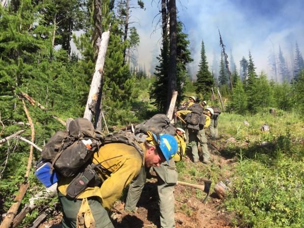 Constructing Fireline. Photo by Northern Rockies Incident Management Team.