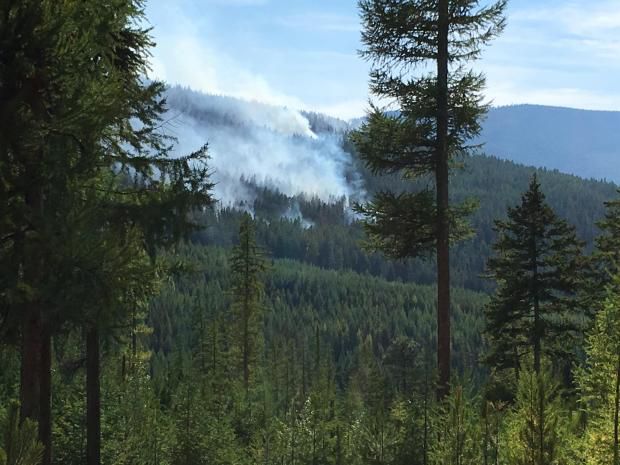 Tamarack Fire. Photo by Incident Command.