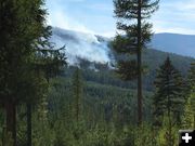 Tamarack Fire. Photo by Incident Command.