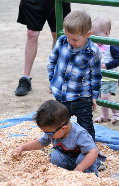 Sawdust dig. Photo by LibbyMT.com.