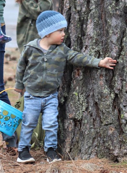 I'll check out the tree. Photo by LibbyMT.com.