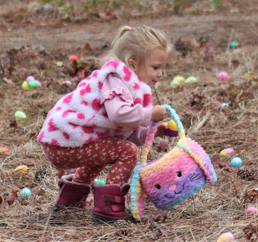 Into the bunny basket. Photo by LibbyMT.com.