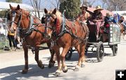 Horse Drawn Carriage Services. Photo by LibbyMT.com.
