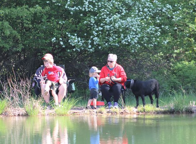 Nice day for dogs, too. Photo by LibbyMT.com.