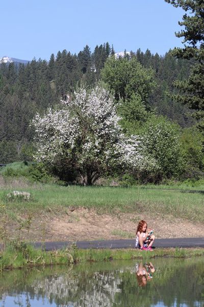 A quiet moment. Photo by LibbyMT.com.