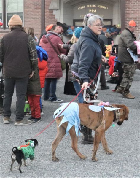 Halloween doggies. Photo by LibbyMT.com.