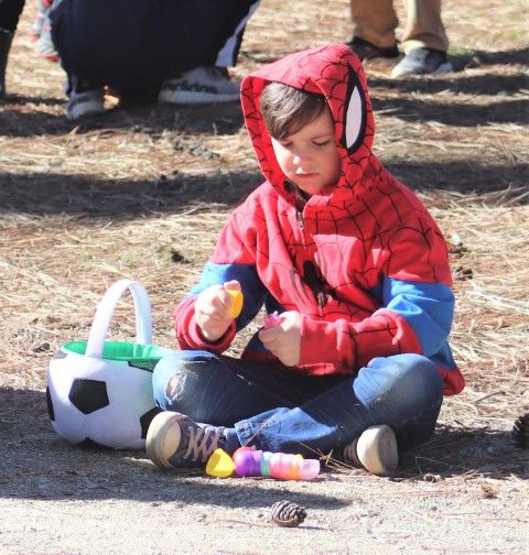 Getting at that candy. Photo by LibbyMT.com.