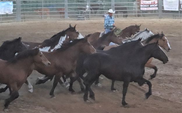 Bucking horse tribute. Photo by LibbyMT.com.