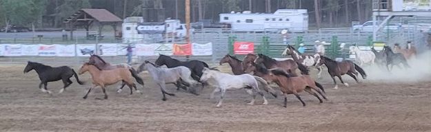 Bucking horse tribute. Photo by LibbyMT.com.