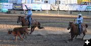 Team roping. Photo by LibbyMT.com.