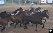 Bucking horse tribute. Photo by LibbyMT.com.