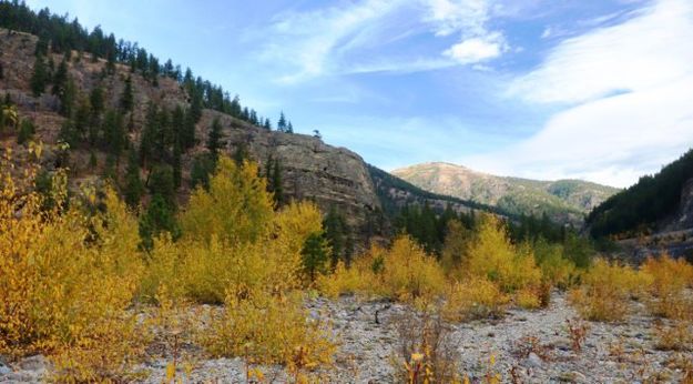 Kootenai River. Photo by LibbyMT.com.