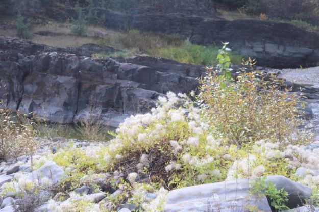 Kootenai River. Photo by LibbyMT.com.