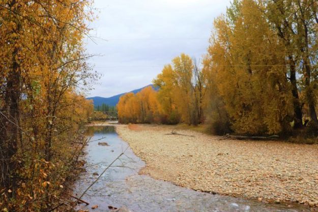 Libby Creek. Photo by LibbyMT.com.