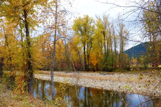 Libby Creek. Photo by LibbyMT.com.