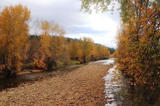 Libby Creek. Photo by LibbyMT.com.