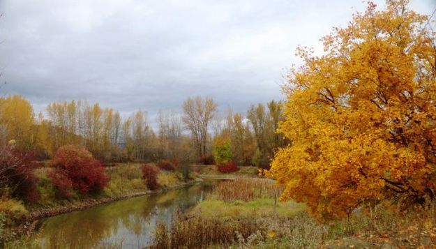 Mill pond. Photo by LibbyMT.com.