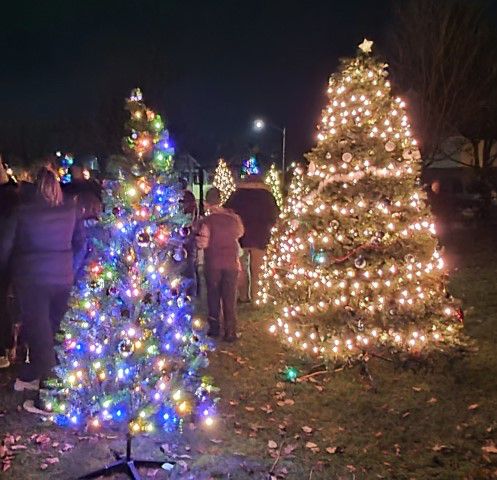 The trees. Photo by LibbyMT.com.