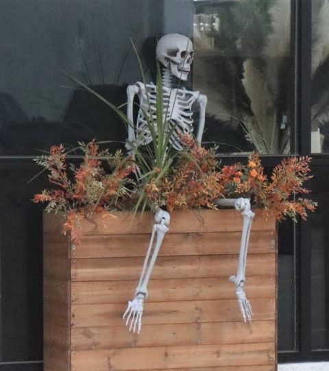 Been there a while. Photo by LibbyMT.com.