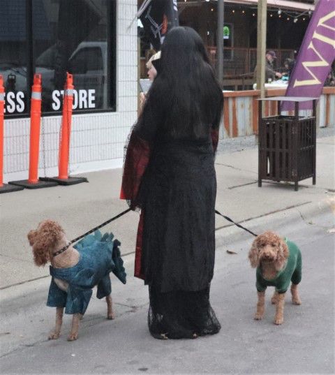 Dino dogs. Photo by LibbyMT.com.