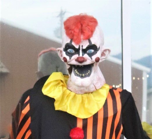 Yikes!. Photo by LibbyMT.com.