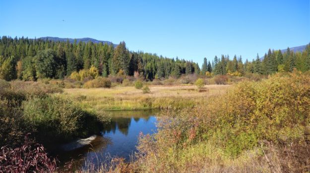 Bull River. Photo by LibbyMT.com.