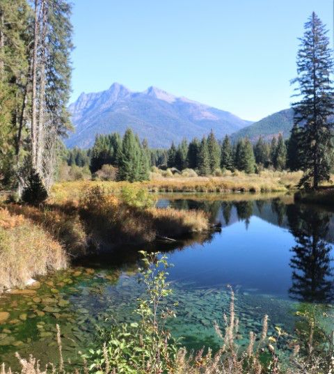 Reflection pond. Photo by LibbyMT.com.