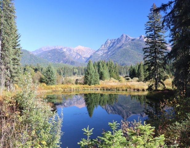 Reflection pond. Photo by LibbyMT.com.