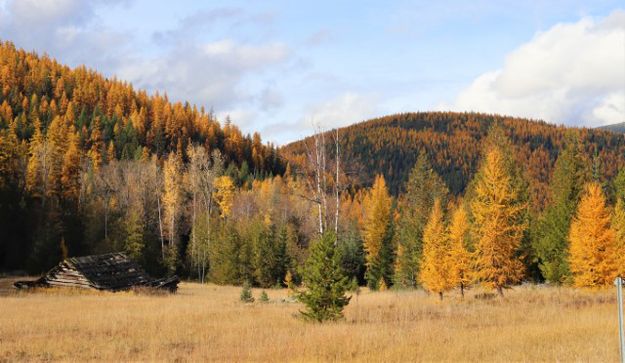 The Yaak. Photo by LibbyMT.com.