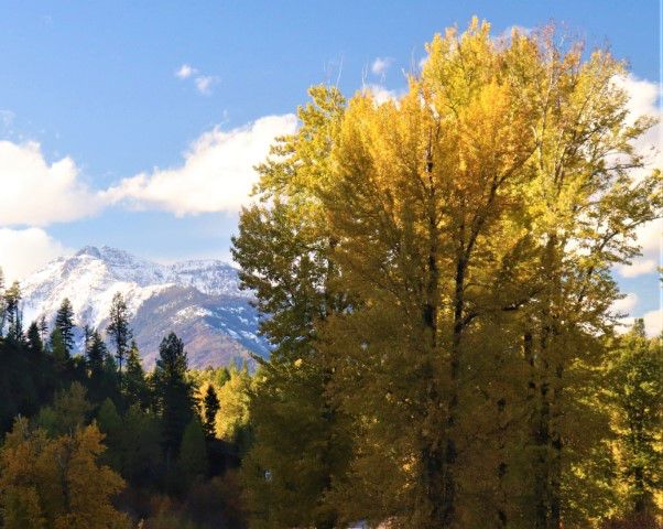 Cabinets. Photo by LibbyMT.com.