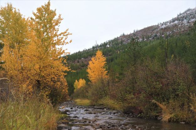 <center>Pleasant Valley</center> <center>Fisher River</center>. Photo by LibbyMT.com.