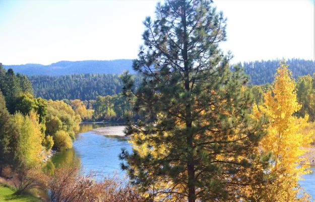 Kootenai River. Photo by LibbyMT.com.