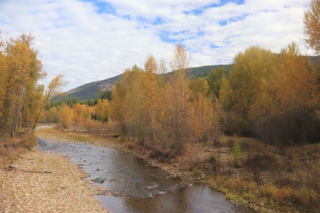 Libby Creek. Photo by LibbyMT.com.