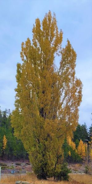 At McGregor Lake. Photo by LibbyMT.com.