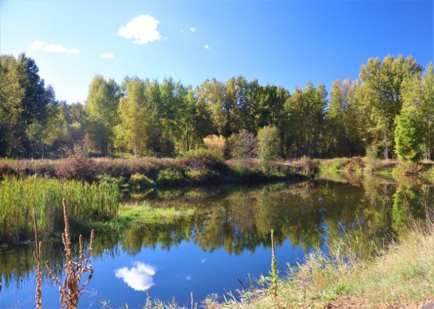 Mill pond. Photo by LibbyMT.com.