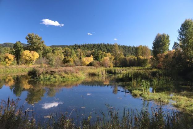 Mill pond. Photo by LibbyMT.com.