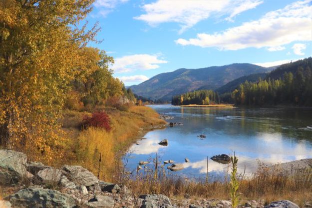 Osprey Landing. Photo by LibbyMT.com.